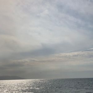 Meet your Posher, Melinda